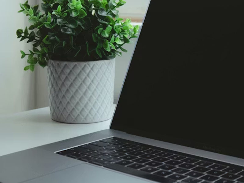 how-to-get-a-free-laptop-with-food-stamps