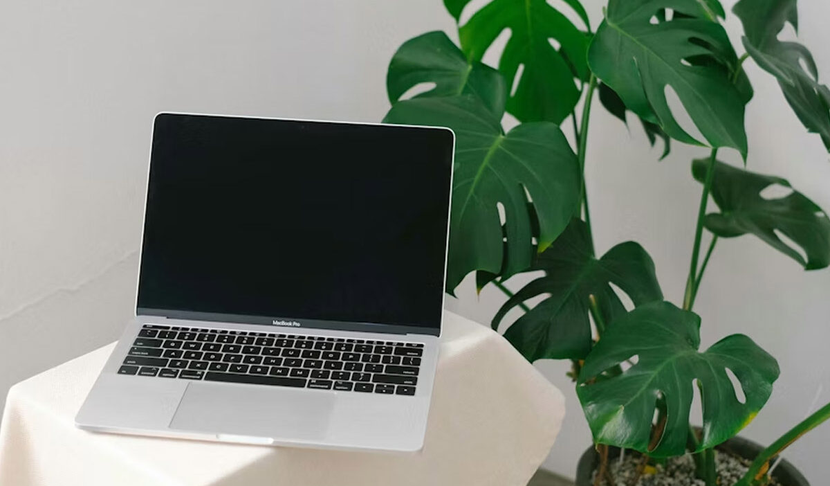 free-laptop-with-food-stamps