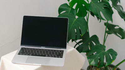 free-laptop-with-food-stamps