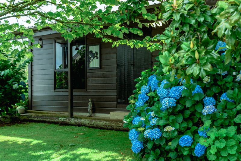 granny flats