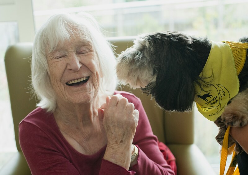 best dog breed for seniors