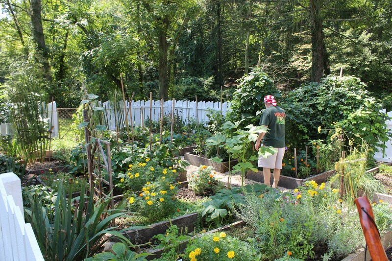 gardening for seniors