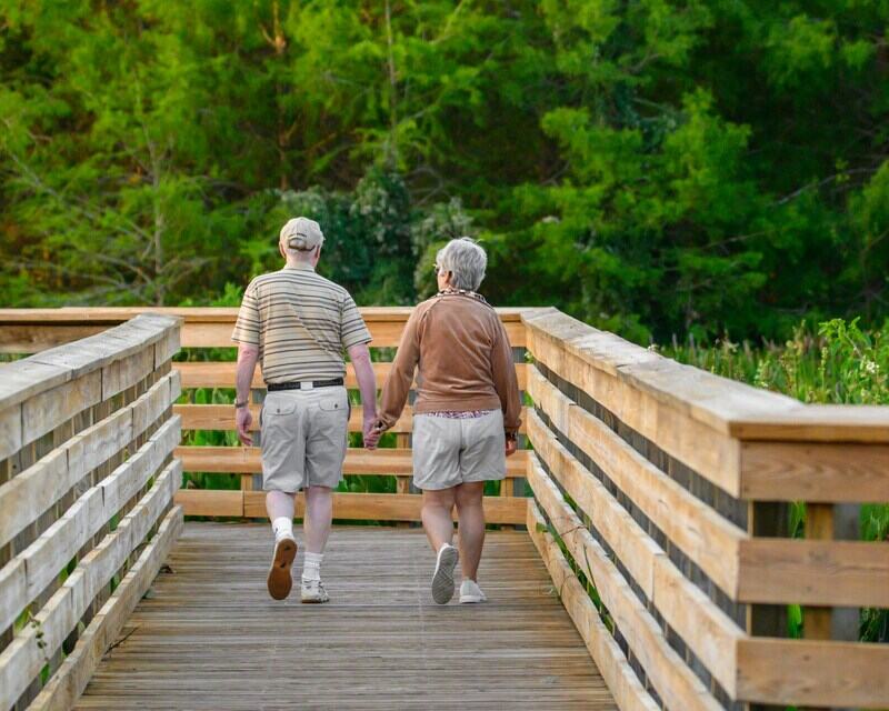 hobbies for seniors