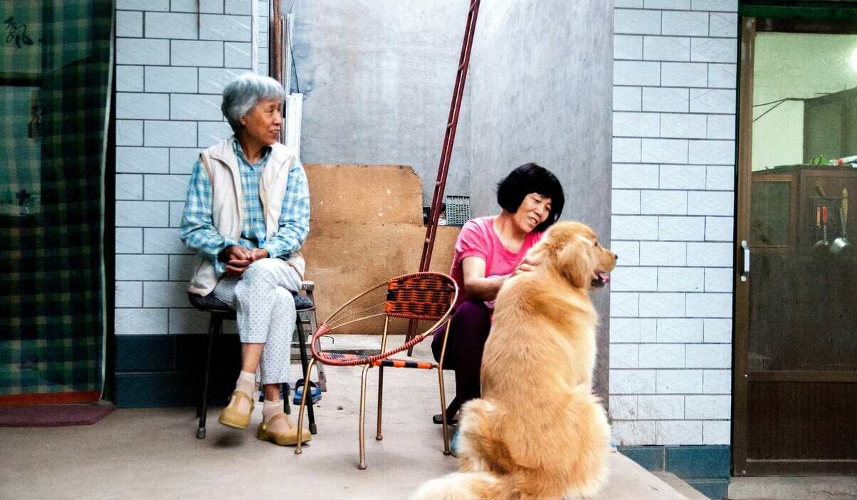what are the best pets for seniors