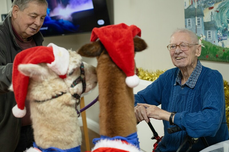 what are the best pets for seniors